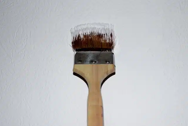 Brush