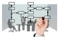 Organizational structure