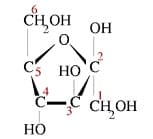 Fructose