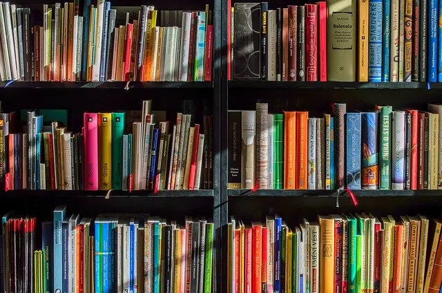 shelves with books