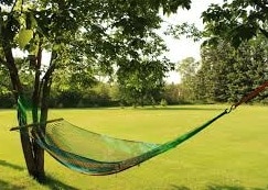 Hammock