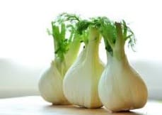 Fennel