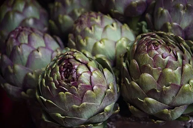 artichokes