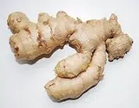 Ginger