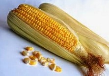 Corn