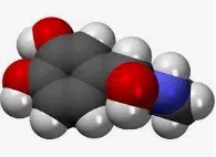 Neurotransmitter