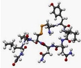 Oxytocin