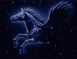 Pegasus