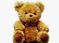 Teddy