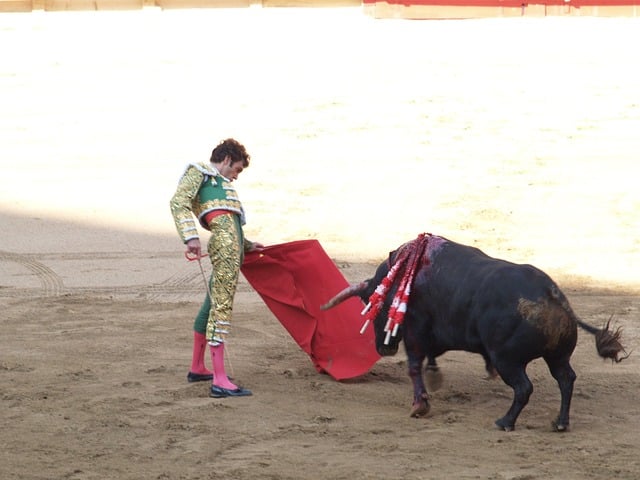 bullfight