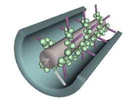 Plasmodesmus