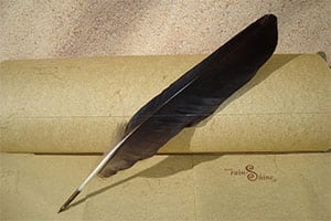 Feather