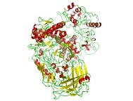 Polymerase