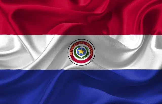 Paraguayan flag