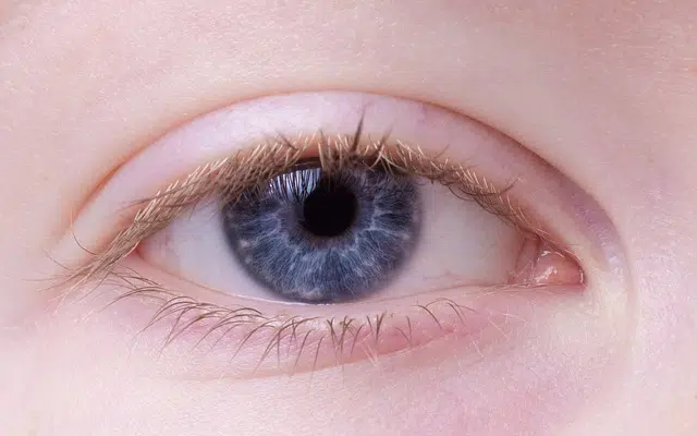 Eye closeup