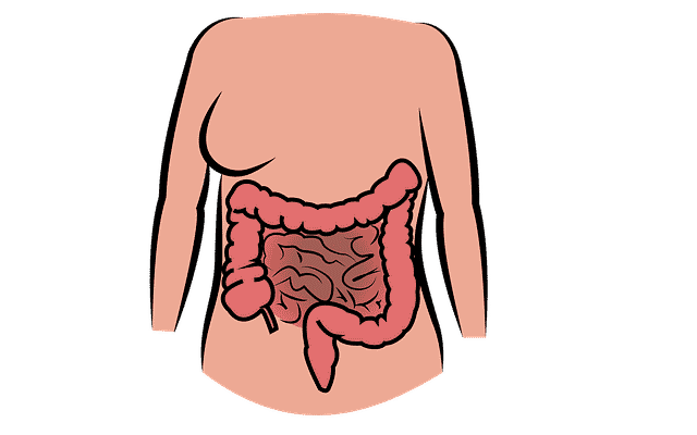 Proximal colon