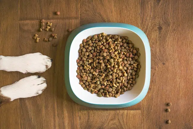 Purina brand feed