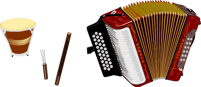 Puya vallenato instruments