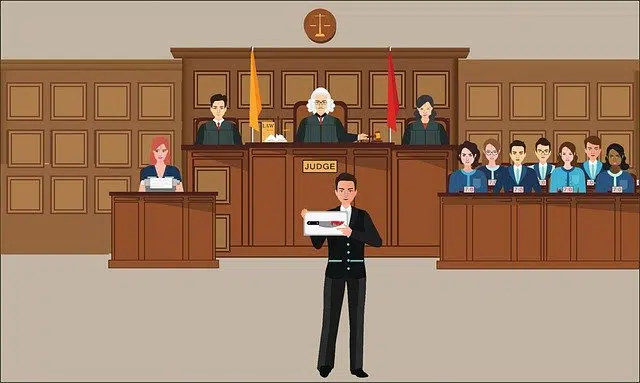 Murder trial argument