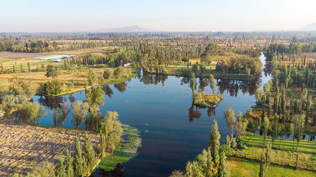 Chinampas in wetland