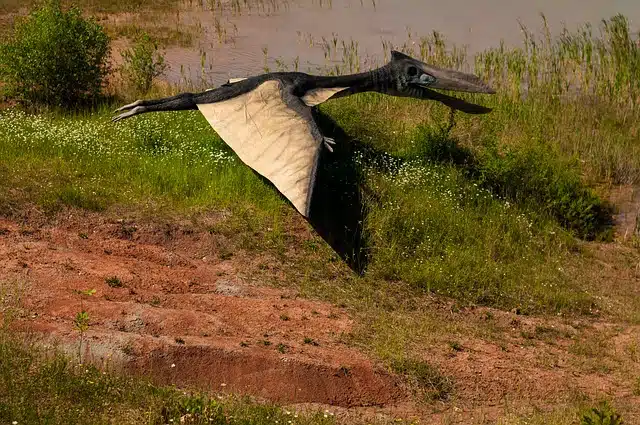 flying pterodactyl