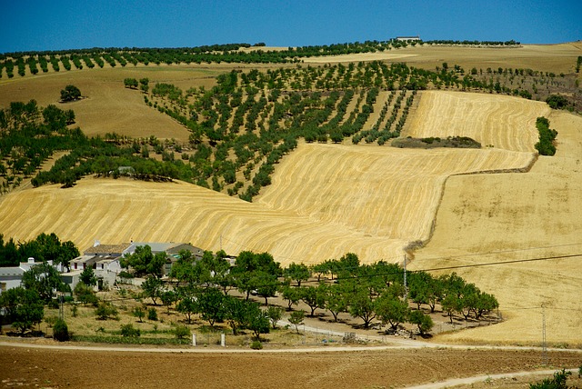 Hacienda accession