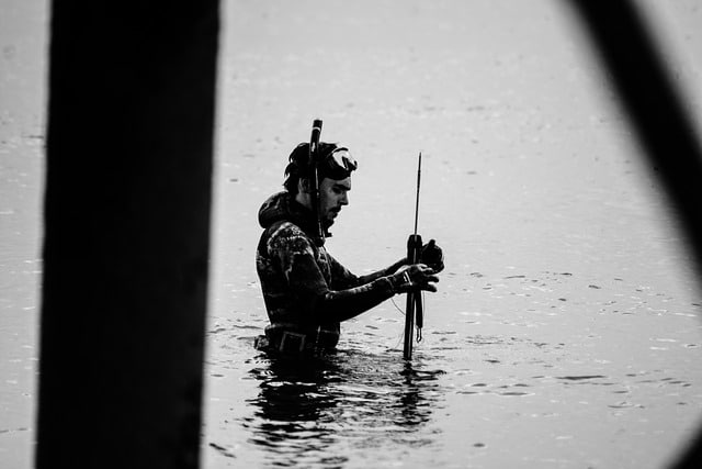 Diver using a harpoon