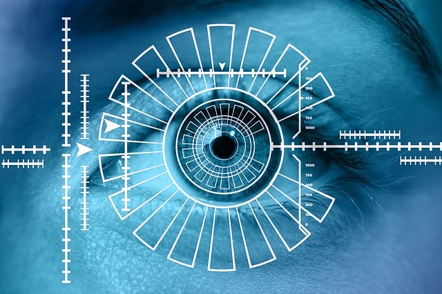 iris biometry