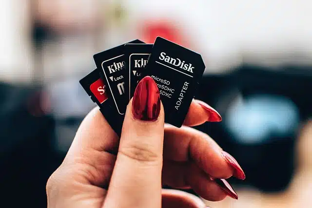 Person holding memory cards