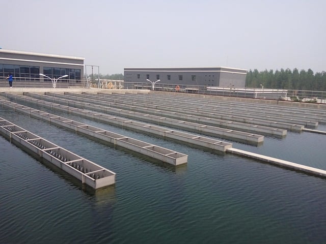 Water treatment plant