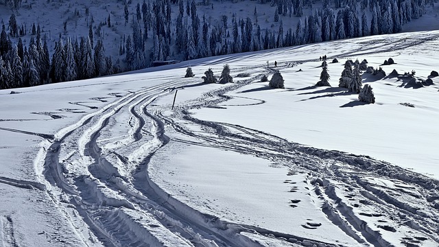 footprints in the snow