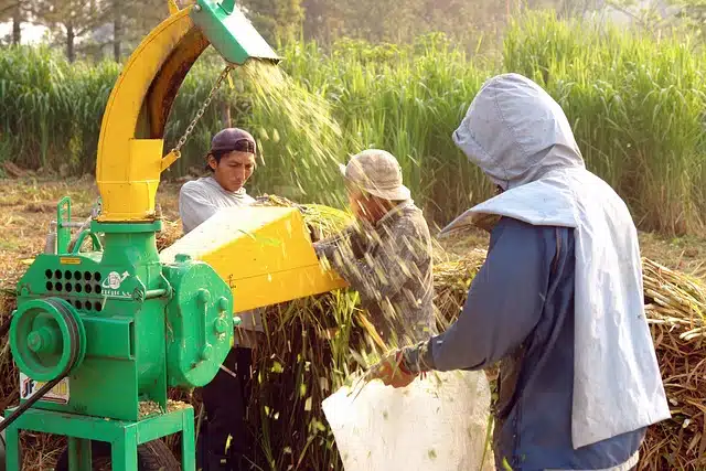 People operating a grinding machine