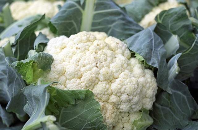 Cauliflower cisgenesis