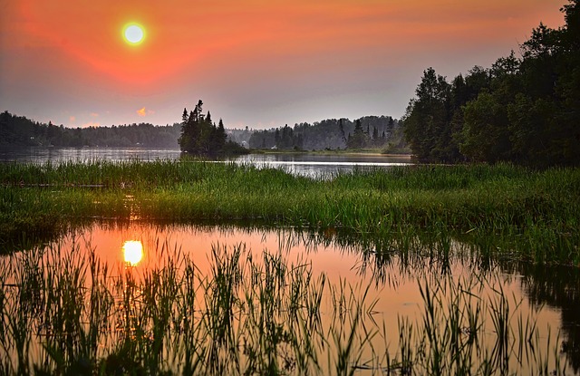 Wetland at sunset