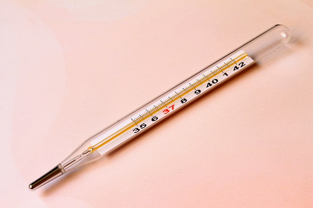 traditional thermometer