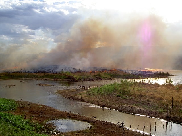 landfill leachate