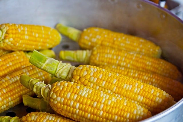 corn cobs