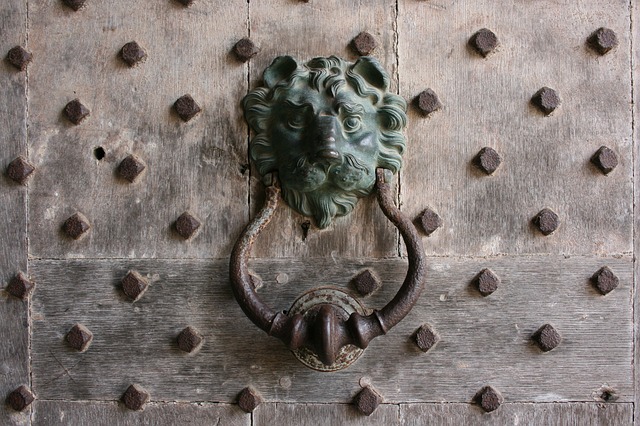 Lion knocker