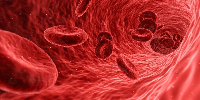 endocrinology blood