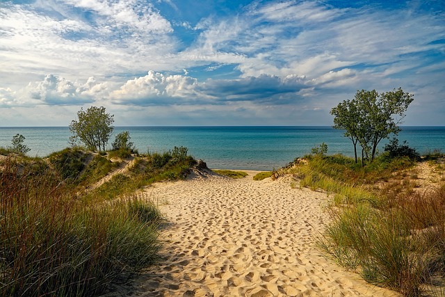 beach in summer