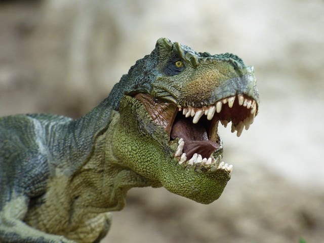 Tyrannosaurus scale model