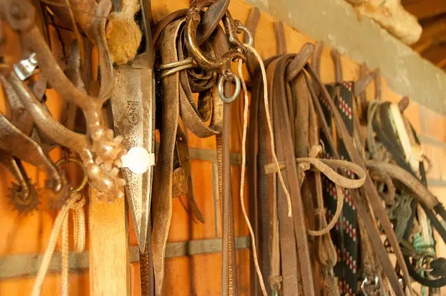 Leather saddlery