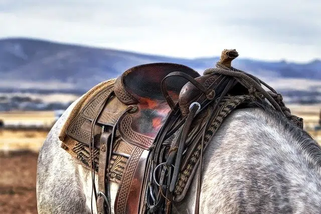 Saddlery saddle