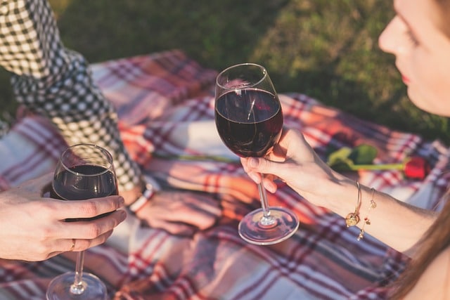 Two people on a picnic drinking alcohol