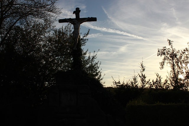 Anti-clericalism cross between bushes