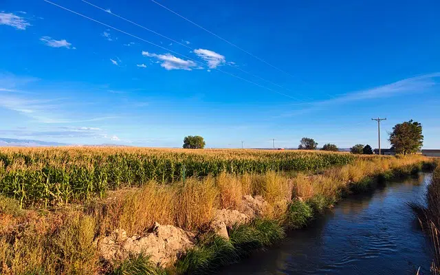 Agriculture ridge