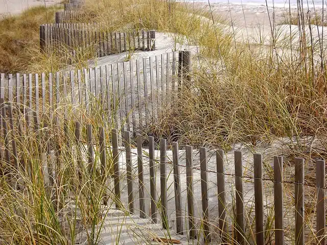 wooden fence in the field