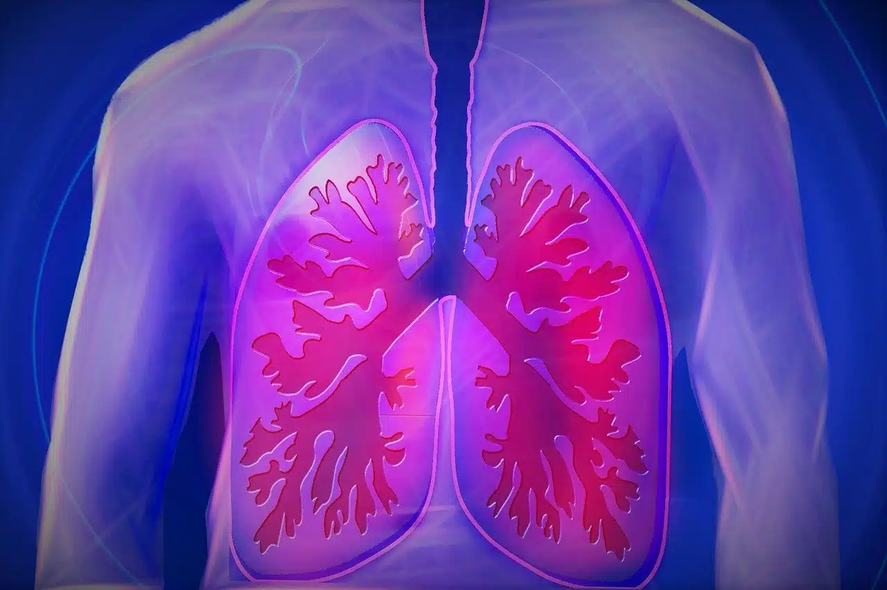 Illustration of human lungs