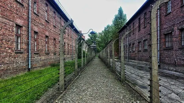 Auschwitz Partisan