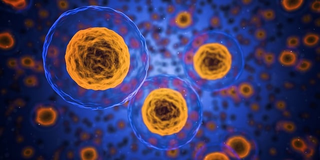 Aquaporin cells